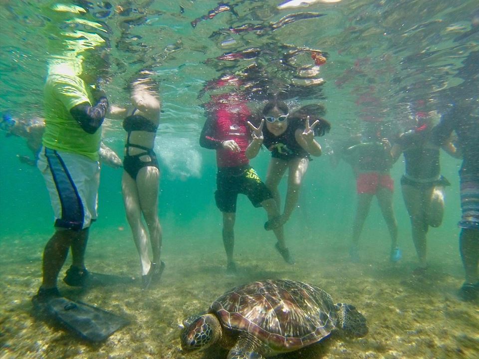 apo island tour