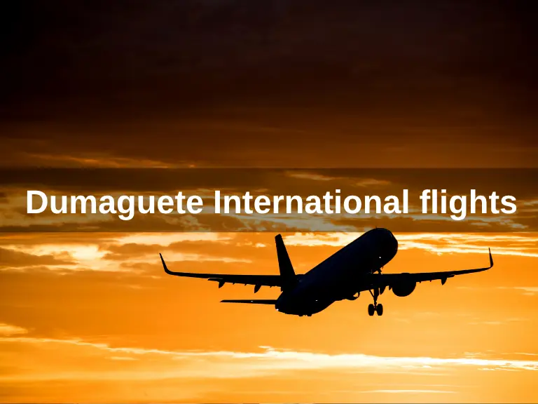 Dumaguete International flights