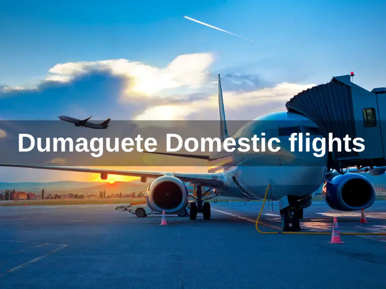 Dumaguete domestic flights