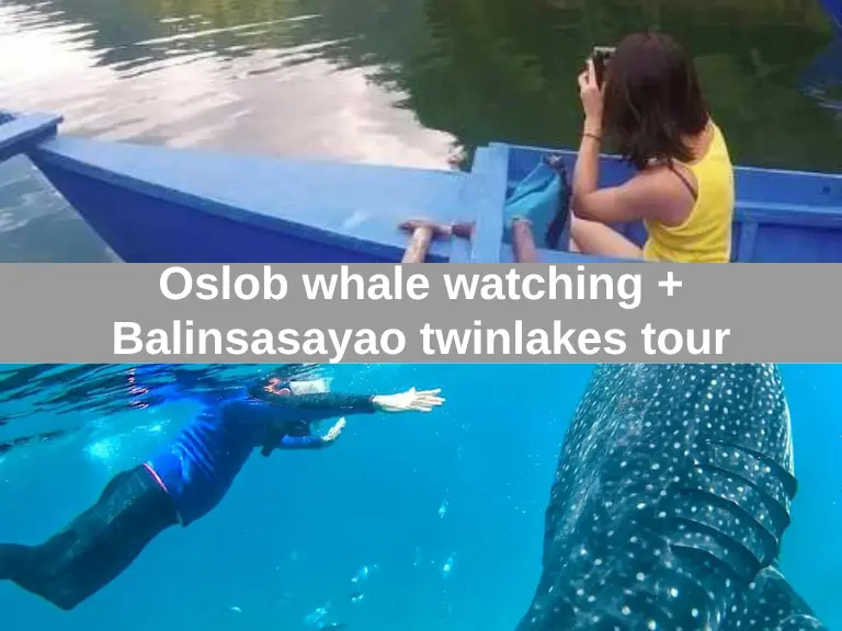 Oslob whale watching + Balinsasayao twinlakes tour
