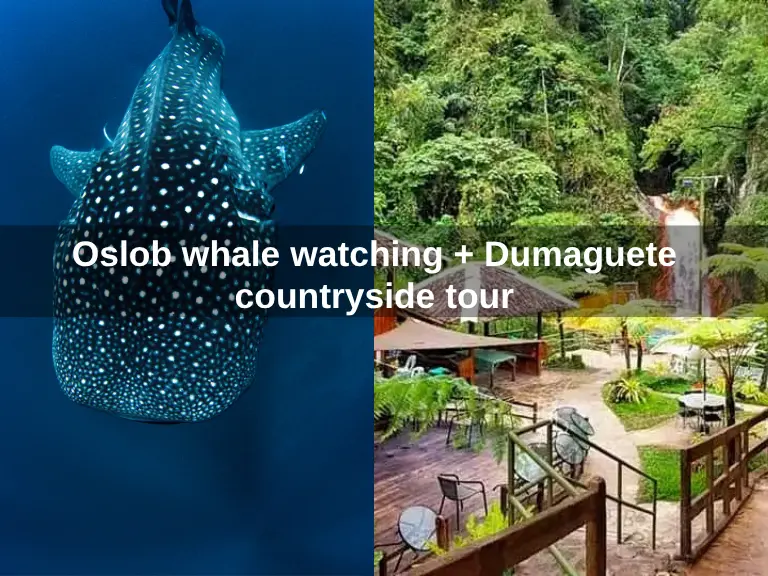 Oslob whale watching + Dumaguete countryside tour