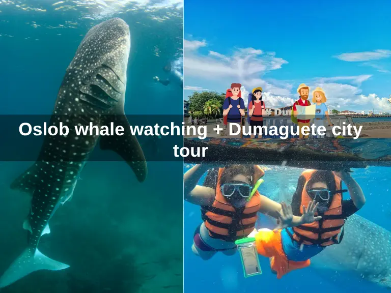 Oslob whale watching + free Dumaguete city tour