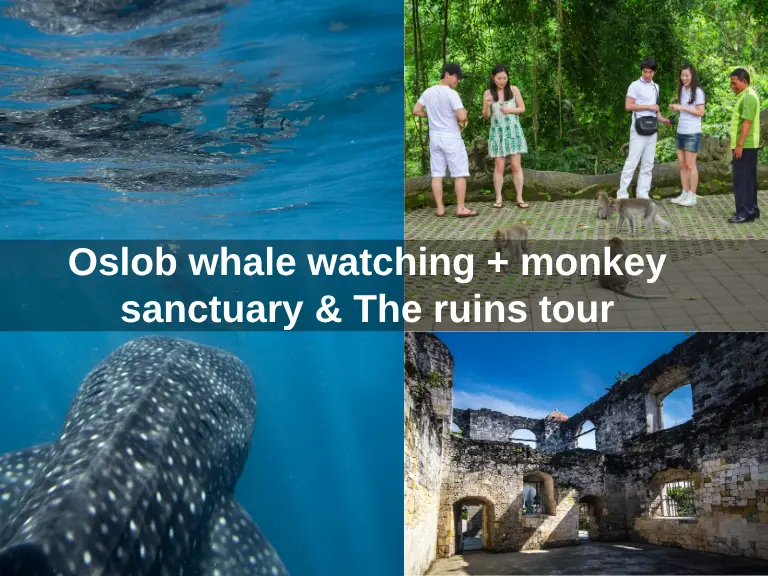 Oslob whale watching + monkey sanctuary & The ruins tour