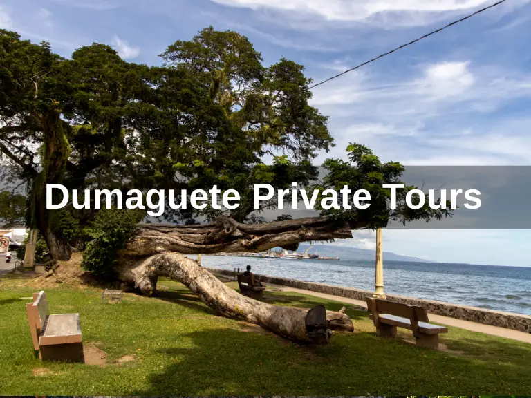 Dumaguete private tours