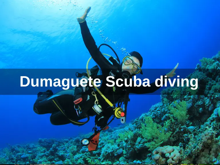 Dumaguete scuba diving