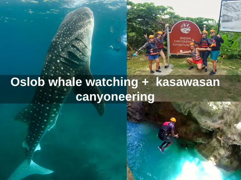 Oslob whale watching + kasawasan canyoneering