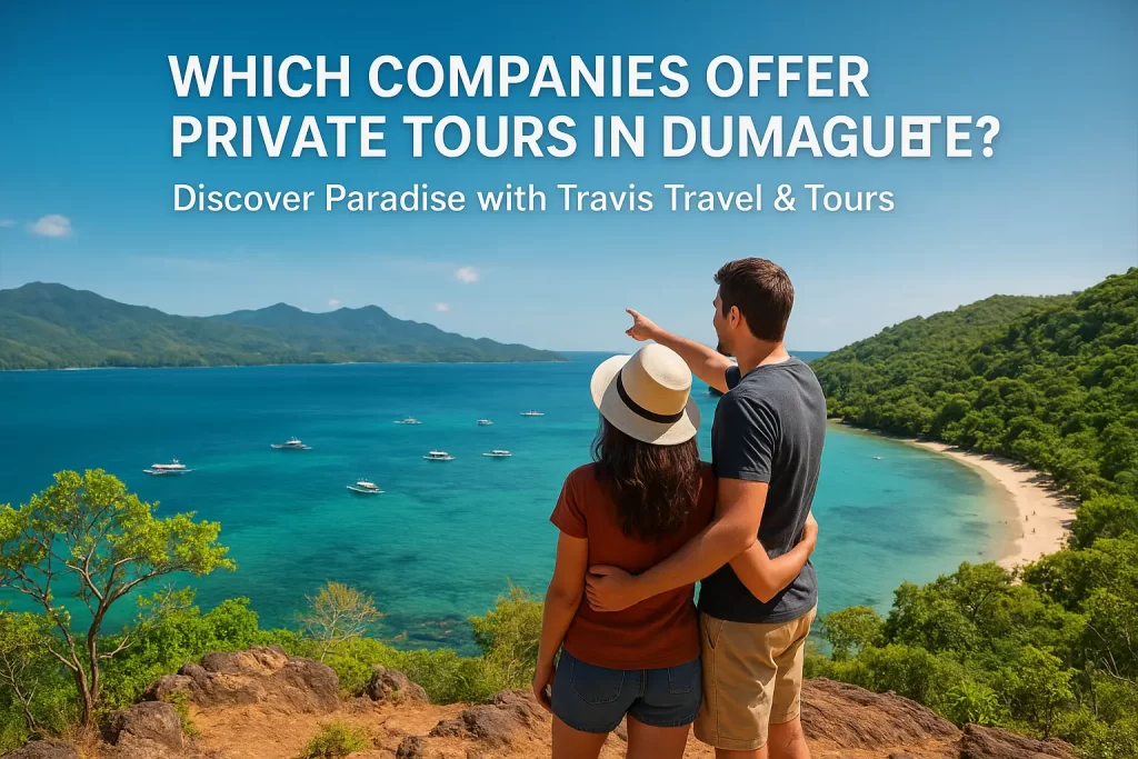 Which companies offer private tours in Dumaguete
