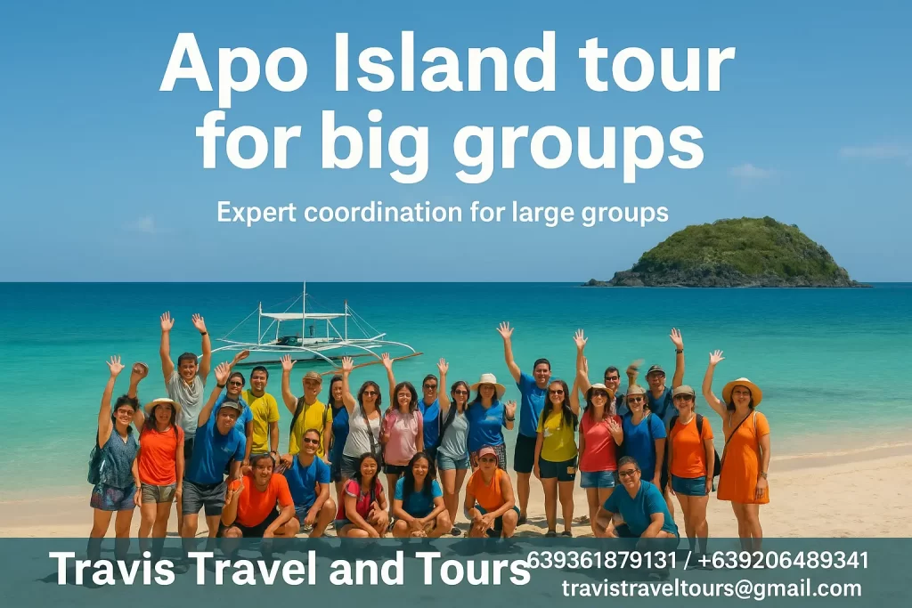 Apo Island tour for big groups