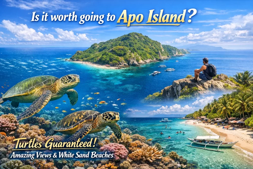 Is it worth going to Apo Island?
