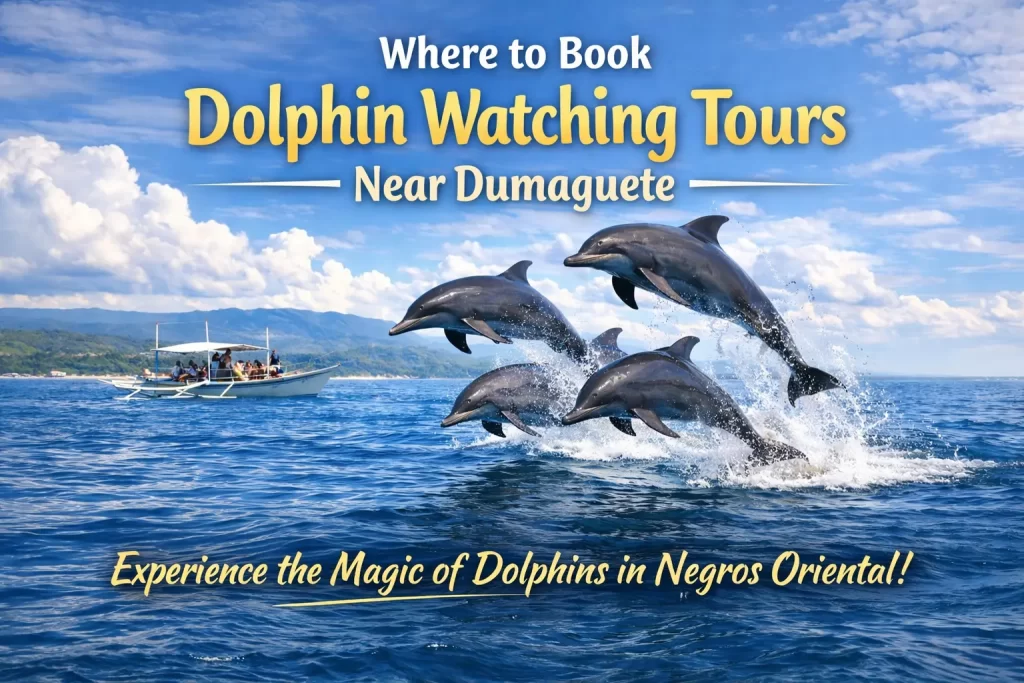 Where to Book Dolphin Watching Tours Near Dumaguete