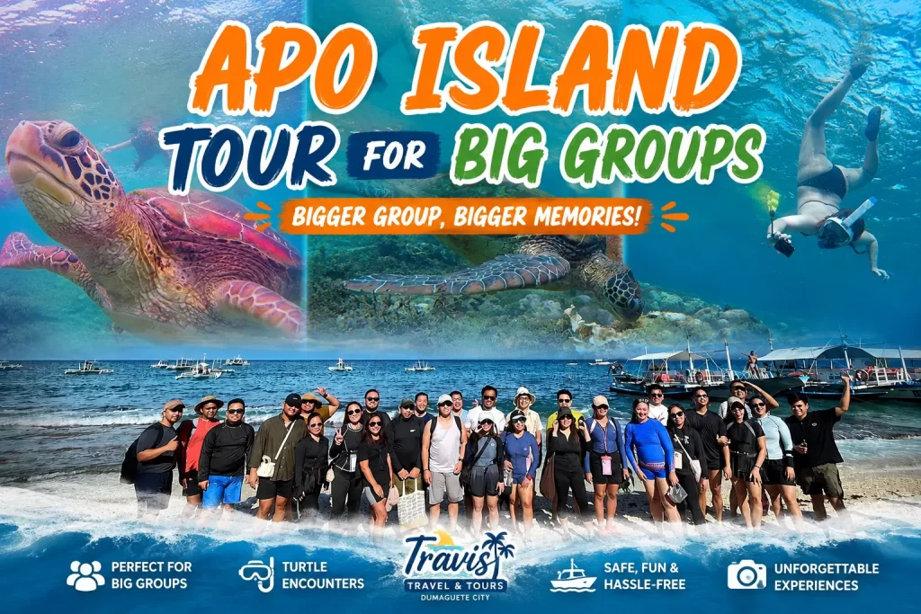 Apo Island tour for big groups